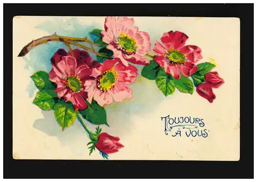 AK Fleurs Branche avec fleurs roses Toujours Àous Belgique, Verviers 24.1.1908