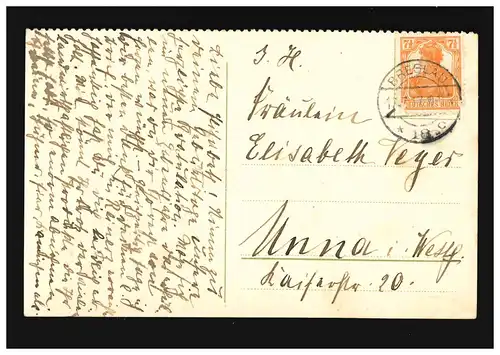 AK Blumen Strauß Gebinde Orchideen und Nachtschatten, Breslau 17.7.1917