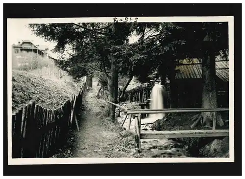 Agriculture moulin Bach Steg arbres photographie, inutilisé