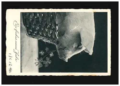 Nouvel an Schwein dans le panier avec le trèfle chanceux, poste de terrain, couru 31.12.1940 Munich