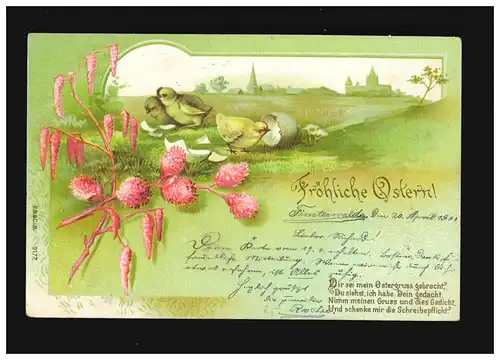 Pâques Joyeux poussins éclos d'oeuf, Forêt des ténèbres/Waldenburg 20.+21.4.1900