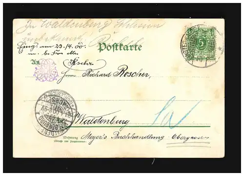 Ostern Fröhliche Küken Ei geschlüpft, Finsterwalde/Waldenburg 20.+21.4.1900