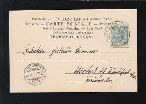 Ostern Fröhliche Frau Blumenkranz Girlanden Hase, Wels-Bahn / Höchst 27.3.1902