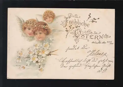 Ostern Fröhliche Engel Blumenkränze Blüten Münster / Lippspringe 13. + 14.4.1900