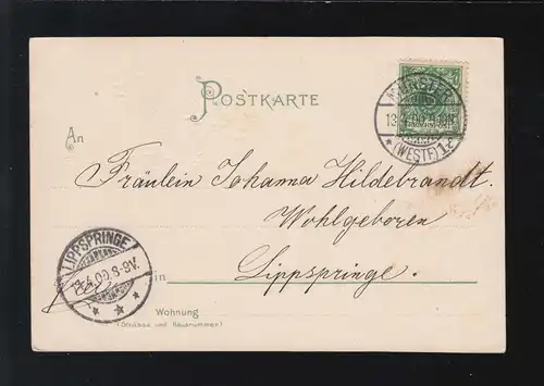 Ostern Fröhliche Engel Blumenkränze Blüten Münster / Lippspringe 13. + 14.4.1900