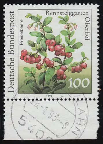 1508I Rennsteig mit UR und PLF I: Blatt blau statt, grün, NASSAU / LAHN 28.1.93