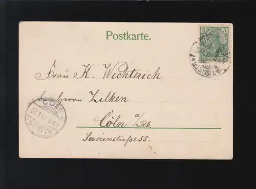 Roter Mohn, Ich möchte Dir sagen zu jeder Frist, Strassburg /Cöln 22.+ 23.1.1901