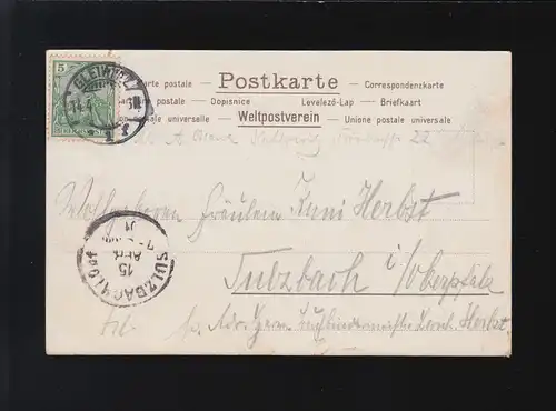 Edelweiss, aussi intacte que cette étoile de fleurs Gleiwitz /Sulzbach 14.+15.4.1901
