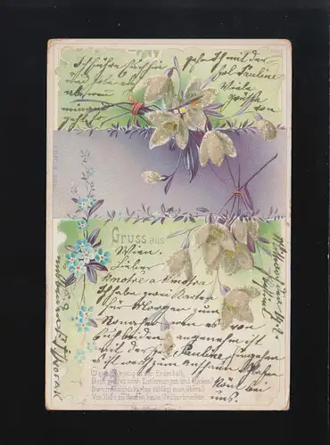 Frühling Gruss aus Blumen Girlanden Zweige Blüten, Glitzer, Liesing 12.11.1908