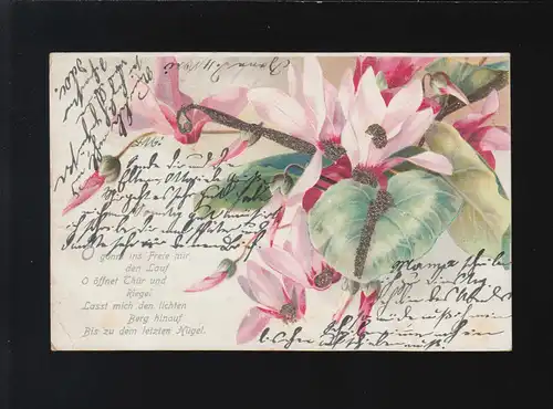 O gönnt ins Freie mir den Lauf, O öffnet Thür und Riegel Blumen, Bonn 11.5.1901