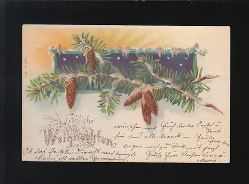 Joyeux Noël Branche de sapins Risig Ziffen, Barmen/Osnabrück 23.+24.12.1901