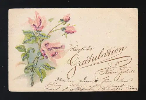 Herzliche Gratulation zum Neuen Jahre Rosen,  Frankfurt/Lausanne 30.12.1900