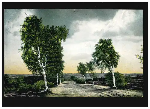 AK Heideweg nach Sudermühlen Birken Heide, gelaufen 1.01.1911