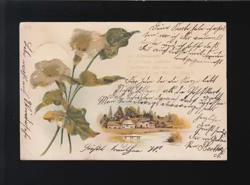 Landschaft See Die Blumenranke ist wie mein Gedanke Heinsberg/Düsseldor 3.7.1899