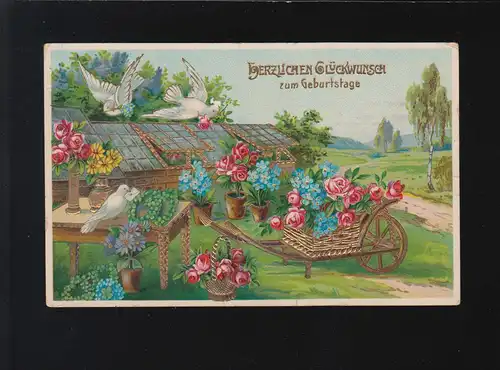 Tauben Blumen Briefe Korb Wagen Rosen, Glückwunsch Geburtstag, Merzien 13.9.1916