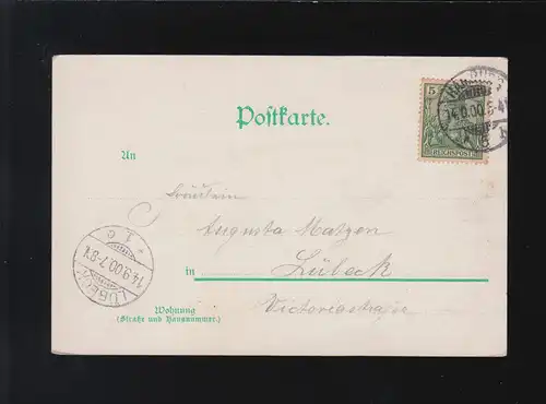 Hamburg Rathaus Glitzerverzierung koloriert, Hamburg /Lübeck 14.9.1900