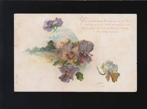 Belle-mère, ces fleurs de loin te saluent, Bonn 24.11.1900