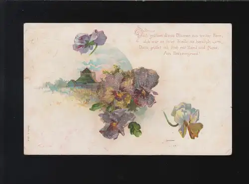 Stiefmütterchen, Dich grüssen diese Blumen aus weiter Ferne, Bonn 24.11.1900