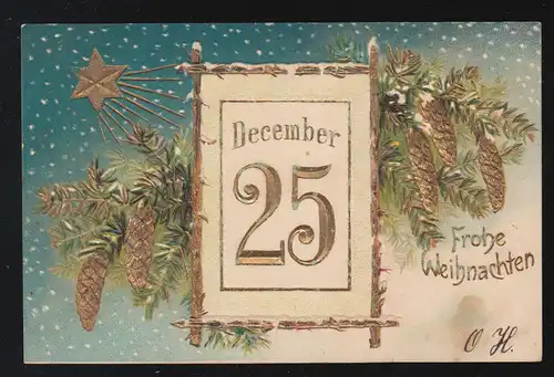 Weihnachtsstern Reisig Tannenzapfen Kalender, Frohe Weihnachten Stubenberg 1902