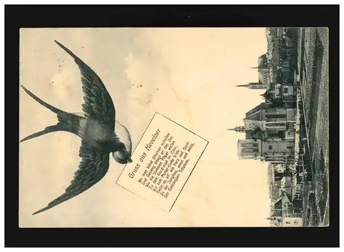AK Gris de Kevelaer Hirondelle Où vous entendez des cloches ... , Ak-O Haarlem 8.9.09