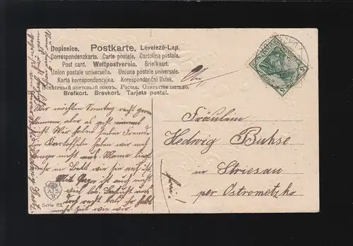 Fleurs Pigeons, Seulement toi seul Prenez l'autruche que je fais dans l 'image Kokotzko 5.10.1908