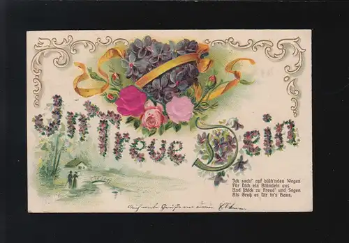 In Treue Dein, Veilchen Herz Ich sucht auf blüh'nden Wegen Deggendorf 14.11.1907