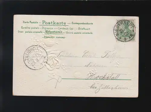 Je ne peux jamais oublier de vous voir Fleurs Niedersept/ Zillisheim 21+ 22.11.1903