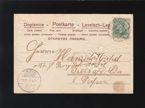 Félicitations, Fête des Papillons, Fleurs, Butzbach /Trais 17.+18.10.104