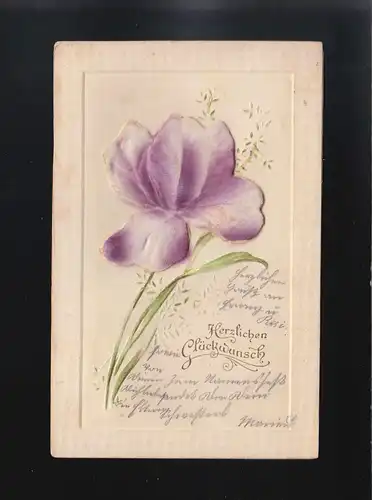 Große Blüte lila weiß, Herzlichen Glückwunsch, gelaufen Österreich um 1910