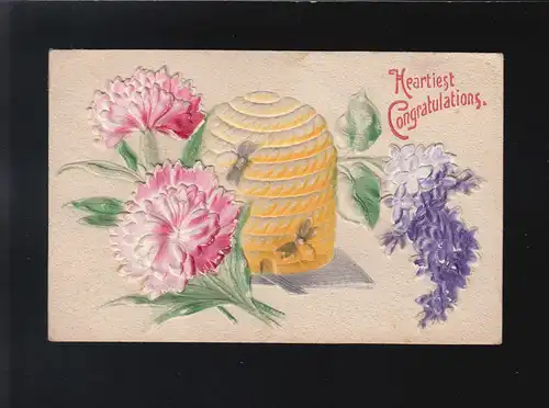 Heartiest Congratulations, Bienenstock Bienen Blüten rosa blau, beschriftet
