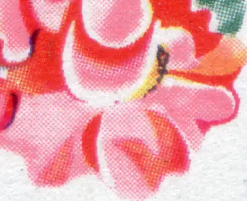 HBl. 14A de MH 6 Exposition de roses avec PLF rouge tache en bas à droite, boîte 1, **