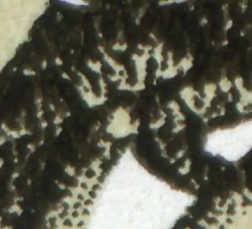 3320 Diesterweg mit PLF heller Fleck im Halstuch, Feld 25 **