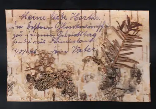 L'écorce de bouleau de mousse Lichen Risig Pays ennemi Félicitations anniversaire 13.5.1916