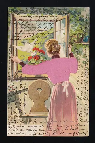 Frau rosa Samt Jacke öffnet Fenster, weiße Taube Brief Basel /Bahnpost 23.8.1904