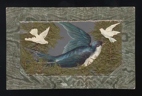 Schwalbe in einem Nest aus Farn Moos 2 weiße Tauben fliegen, Groningen 28.1.1906