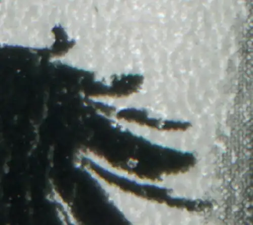 3304 Panier de poste 50 Pf: encoches en haut et ressort cassé, case 15, **