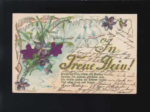 Fleurs blanches + violet, pigeons tourter, En fidélité à toi, Amesdorf /Staszfurt 9.3.1908