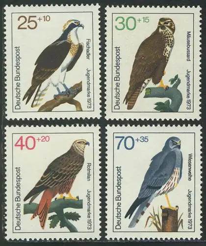 754-777 Jeunes oiseaux de proie Aigle de poisson Buse de souris Rotmilan Prairie, phrase **