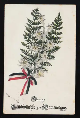 Farnkraut Edelweiß Band Reichsfarben, Glückwunsch Namenstag, Cöln 25.7.1915