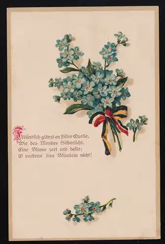 Aimable brille à source silencieuse N'oubliez pas les autruches Schechen 30.11.1917