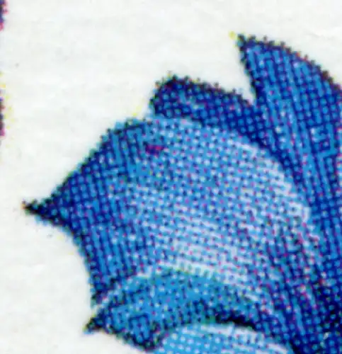 1507III Plage 80 Pf. - PLF rouge tache dans la feuille gauche de la fleur droite, **