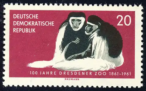 826 Dresdner Zoo Guerezas 20 Pf ** postfrisch