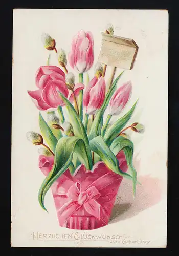 Rosa Tulpen Weidenkätzchen sign. EJ Glückwunsch Geburtstag Braunschweig 7.4.1907