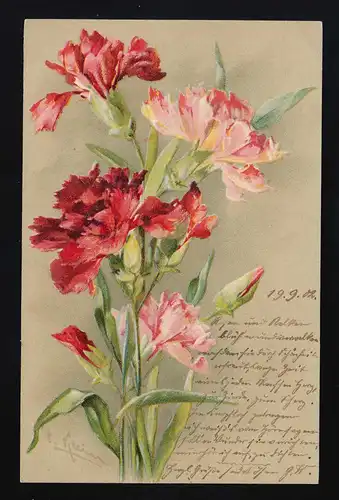 Nelken rosa rot Blüten, Künstler signiert, bestellt Postamt 36 Berlin 19.9.1902