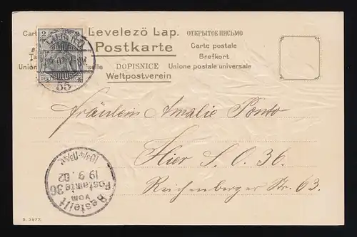 Nelken rosa rot Blüten, Künstler signiert, bestellt Postamt 36 Berlin 19.9.1902