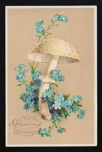Pilz umgeben mit Vergissmeinnicht, Glückwunsch Geburtstag, Mariendorf 4.11.1911