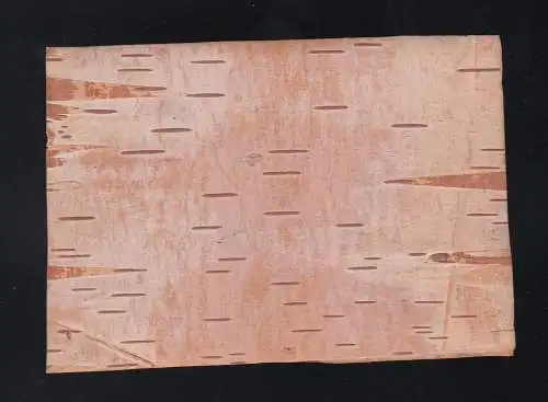 Sur les bouleaux russes, écorce de bois les meilleurs félicitations anniversaire 19.04.1942