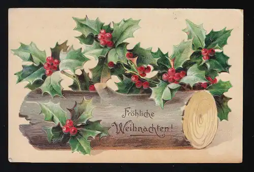 Tricolore avec des palmiers et des baies, Joyeux Noël, Mühlhausen23.12.1908