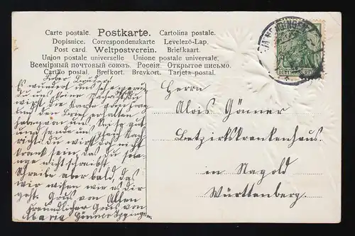 Fleur de Corbeau Autruche, Que j'aime aujourd'hui chez toi, Emmendingen vers 1910