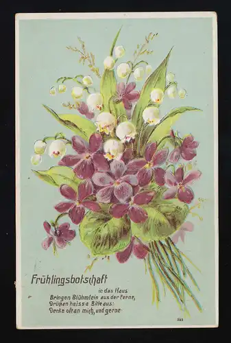 Violet autruche, message de printemps dans la maison, Biberach 8.8.1908